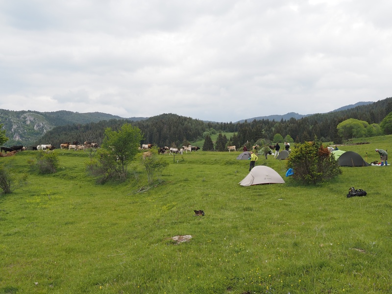 Perelický hřeben