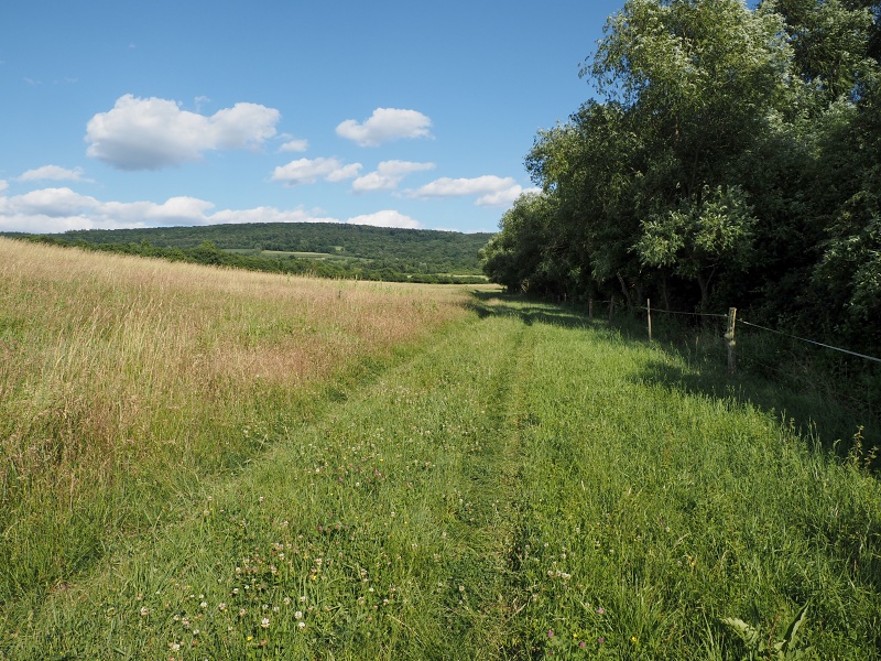 Bílé Karpaty