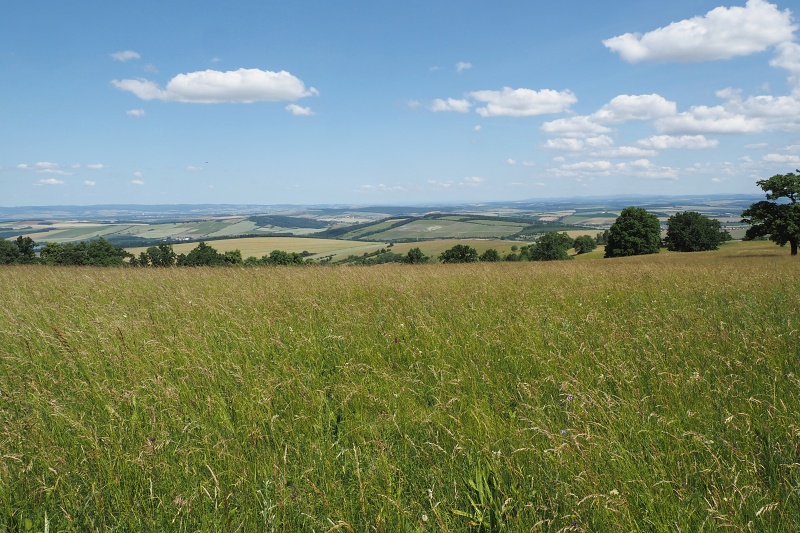 Bílé Karpaty, NPP Búrová