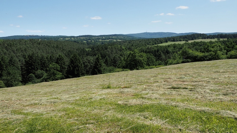 Bílé Karpaty