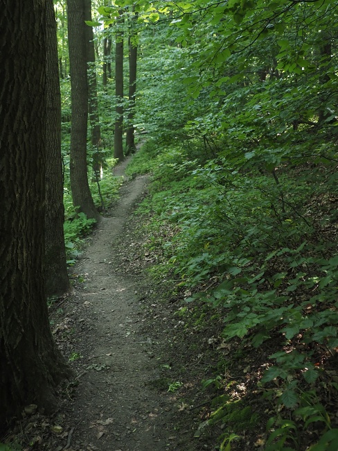 Bílé Karpaty
