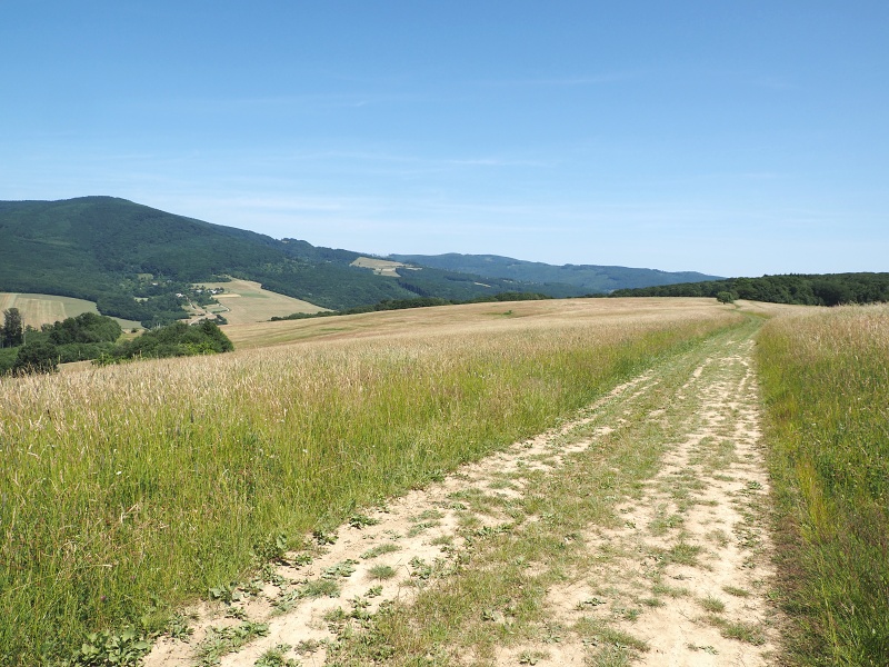 Bílé Karpaty