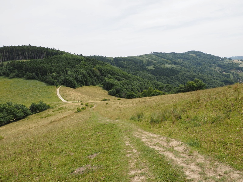 Bílé Karpaty, Lopenické sedlo