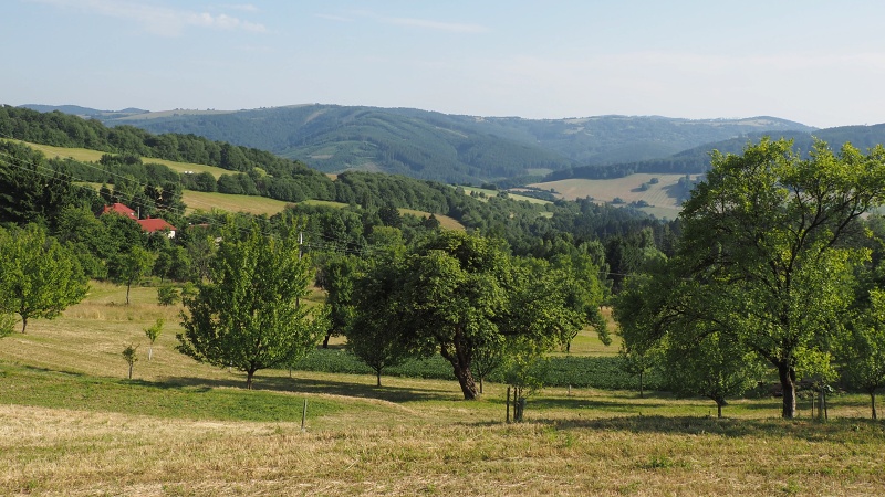 Bílé Karpaty, Žítková