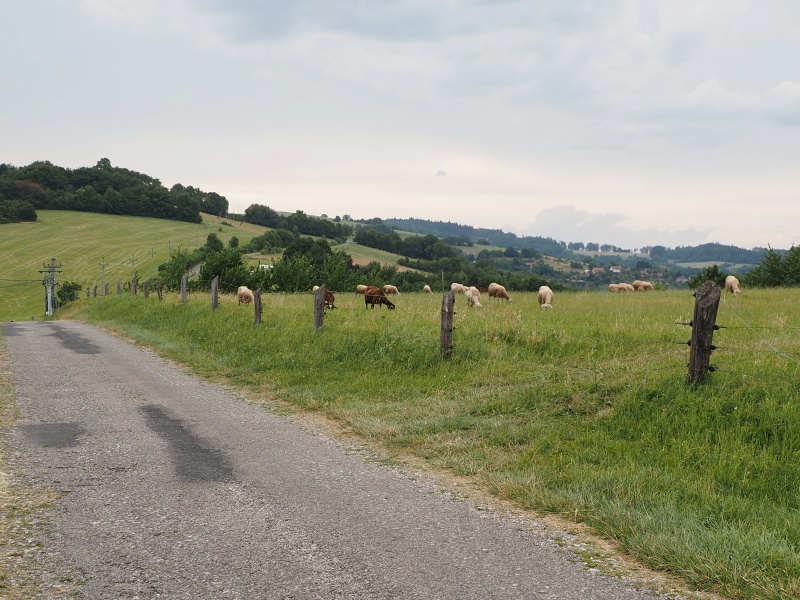 Bílé Karpaty, Žítková