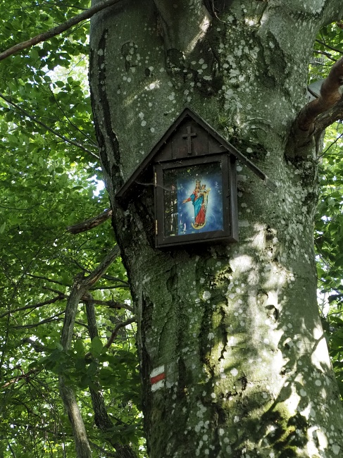Bílé Karpaty