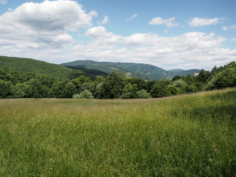 Bílé Karpaty