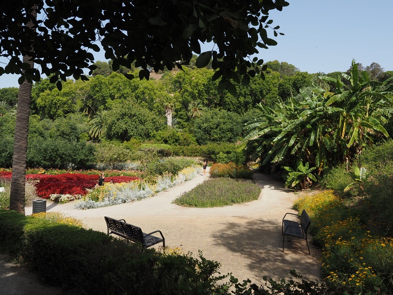 Malaga
