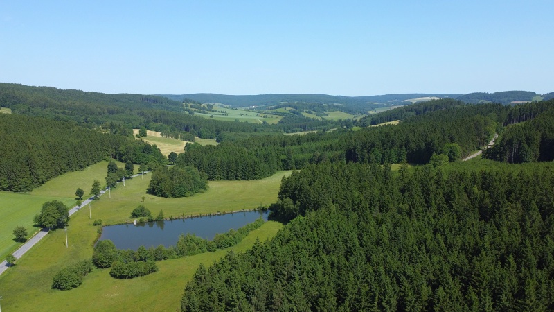 rybník Laguna u Daňkovic