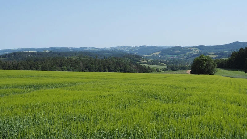 po červené z Oldřiše na Lucký vrch