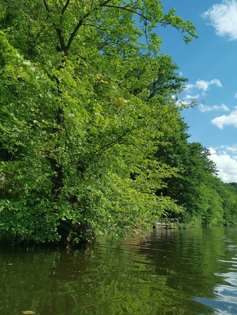 Brněnská přehrada na paddleboardu