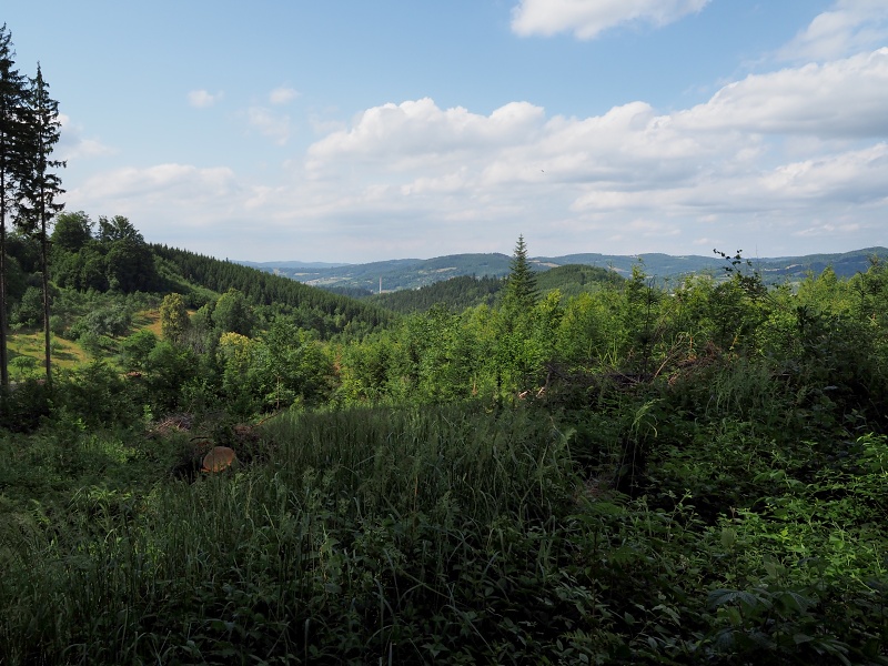 Vizovická vrchovina