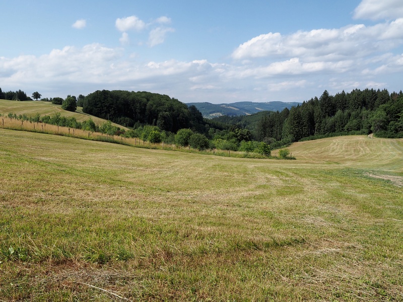 Vizovická vrchovina