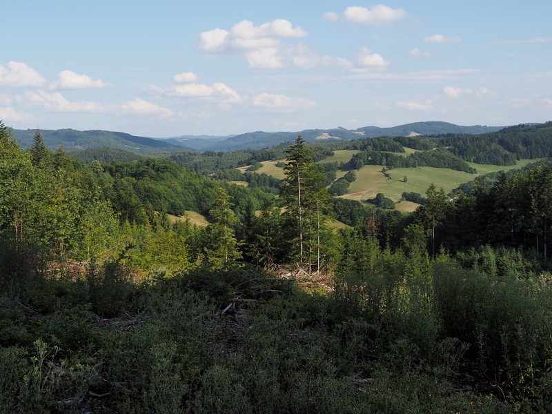 Vizovická vrchovina