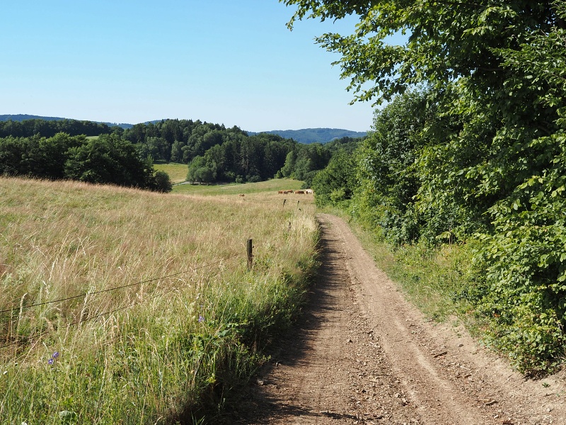 Vizovická vrchovina