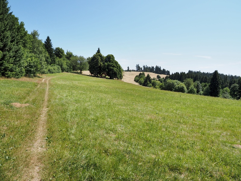 Vizovická vrchovina