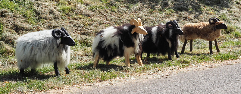 Vizovická vrchovina