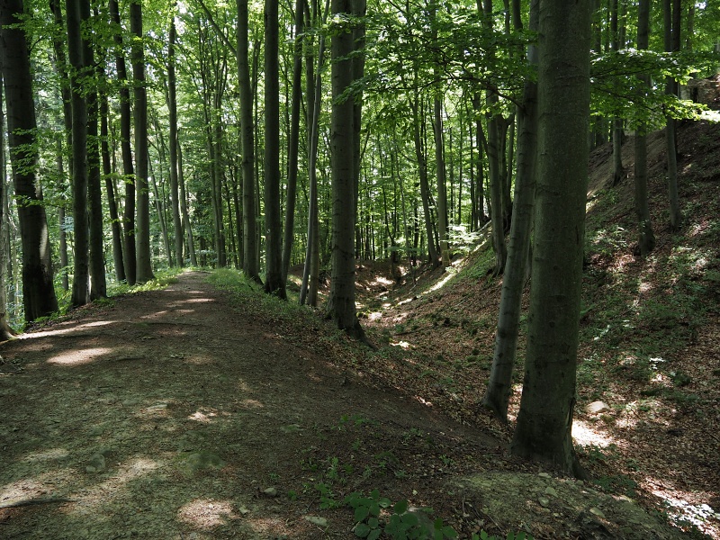 Vizovická vrchovina