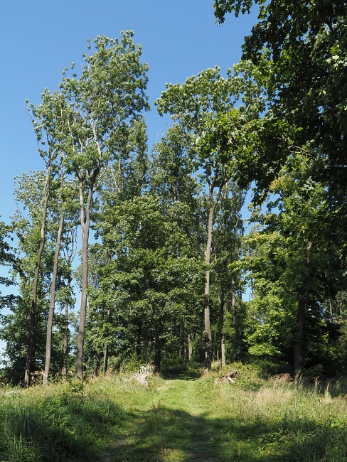 Veřovické vrchy