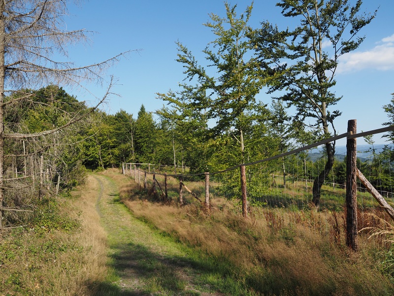Veřovické vrchy