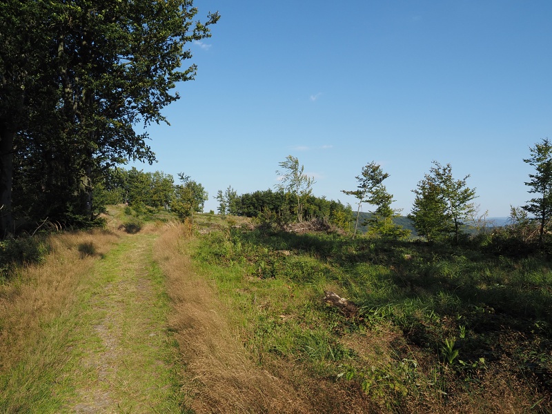 Veřovické vrchy