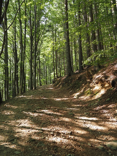 Lysá hora