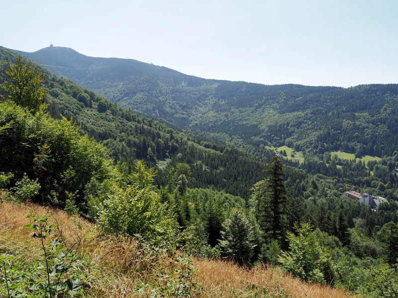 Hradová