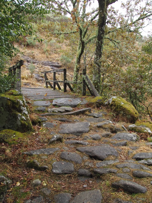 Mosteiro de Santa Maria das Júnias