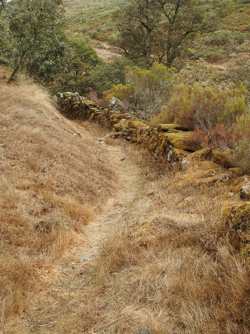 Mosteiro de Santa Maria das Júnias