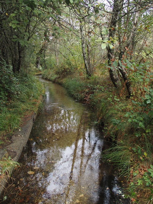 Levada do Mosteiro