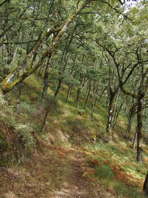 Parque Nacional da Peneda-Gerês