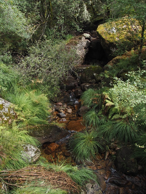 Parque Nacional da Peneda-Gerês