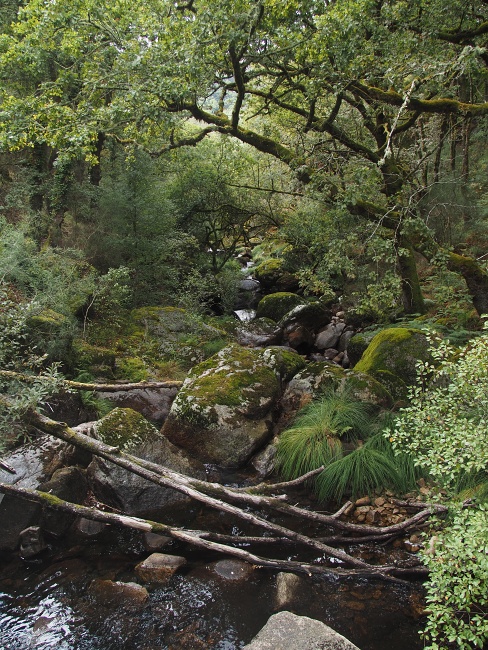 Parque Nacional da Peneda-Gerês