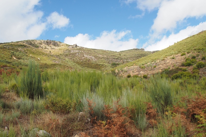 Parque Nacional da Peneda-Gerês