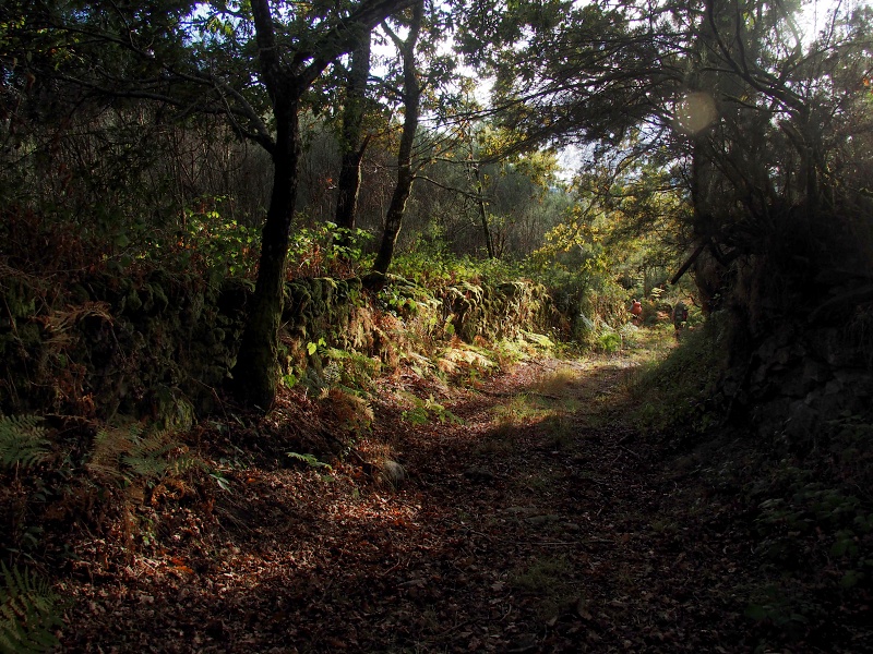 Parque Nacional da Peneda-Gerês
