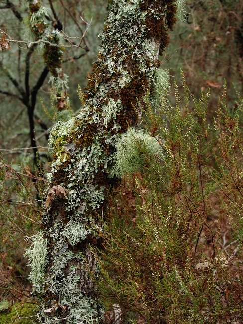 NP Peneda-Gerês