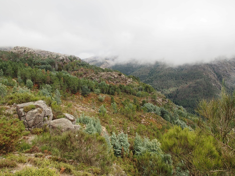 NP Peneda-Gerês