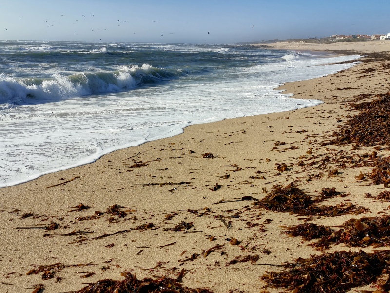 Praia de Angeiras