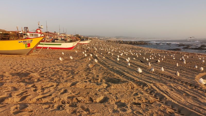 Praia de Angeiras