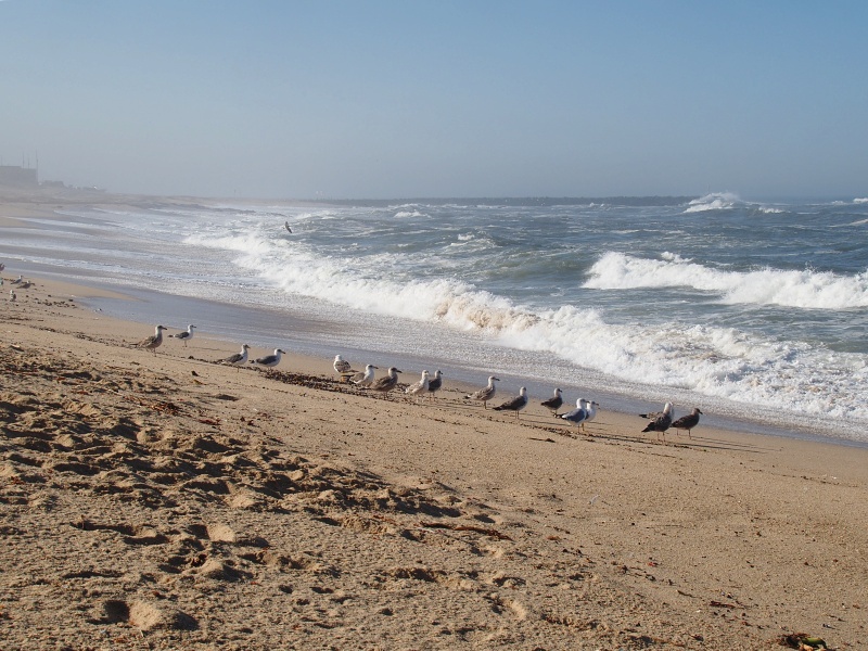 Praia de Angeiras