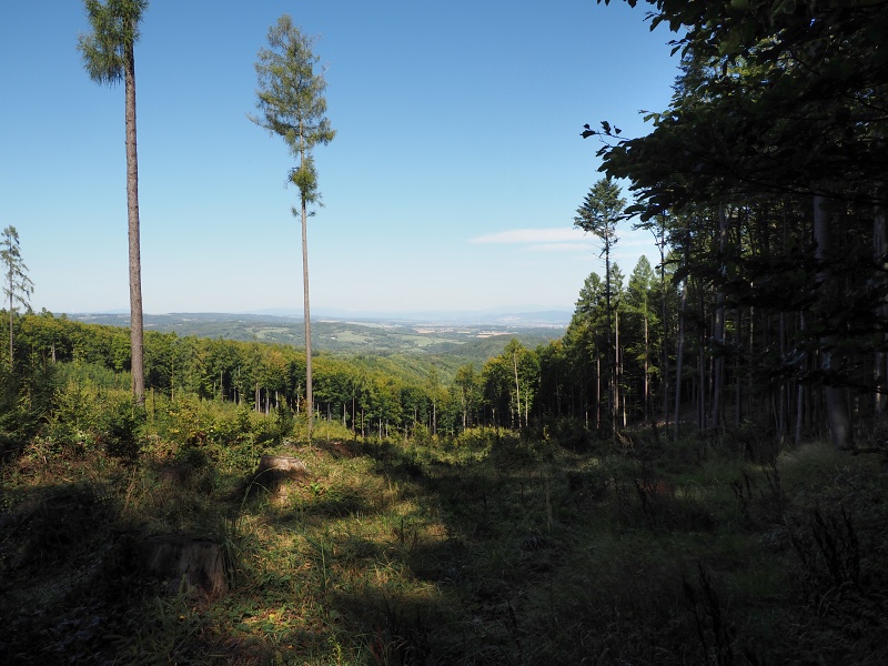 Bouzovská vrchovina