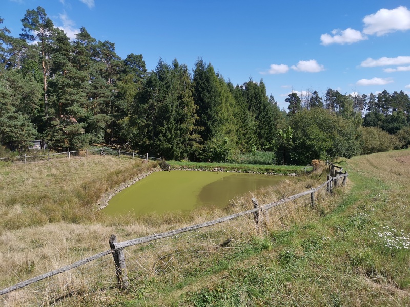 bezejmenné rybníčky pod Níhovem