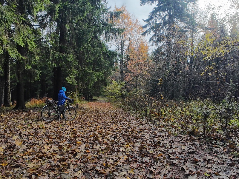 přes Stolečný vrch na Malý Javorník