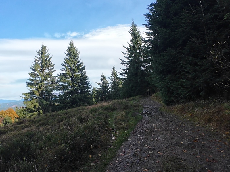 mezi Stratencem a sedlem Gežov