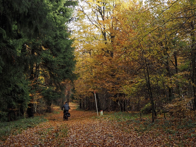 přes Stolečný vrch na Malý Javorník