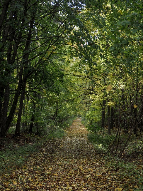 nad Hroznovou Lhotou