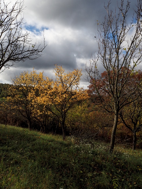 nad Hroznovou Lhotou