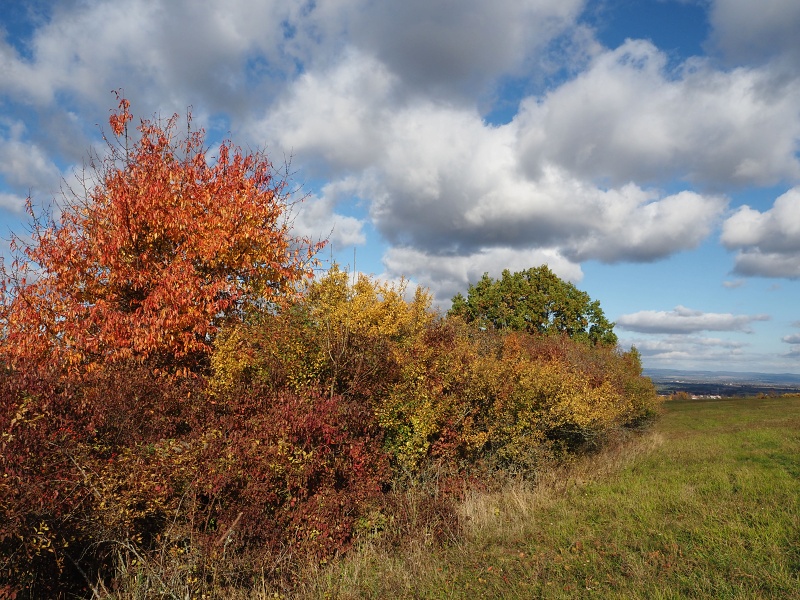 nad Hroznovou Lhotou