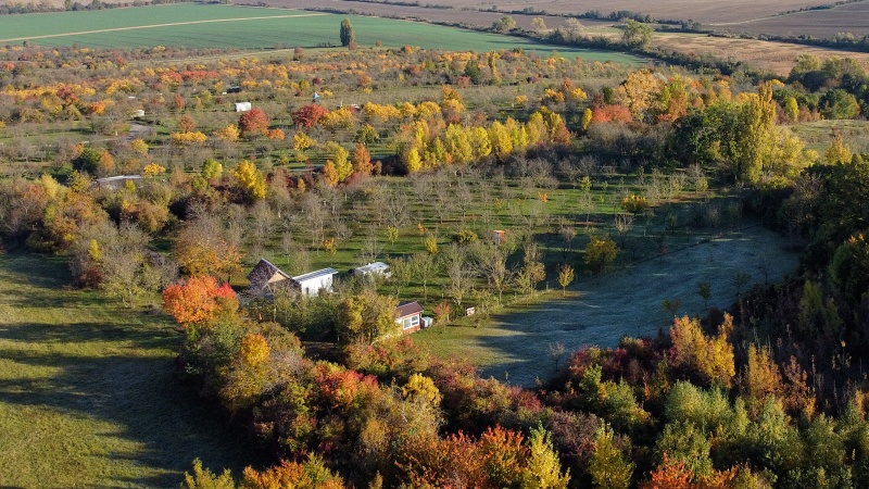 sady nad Hroznovou Lhotou