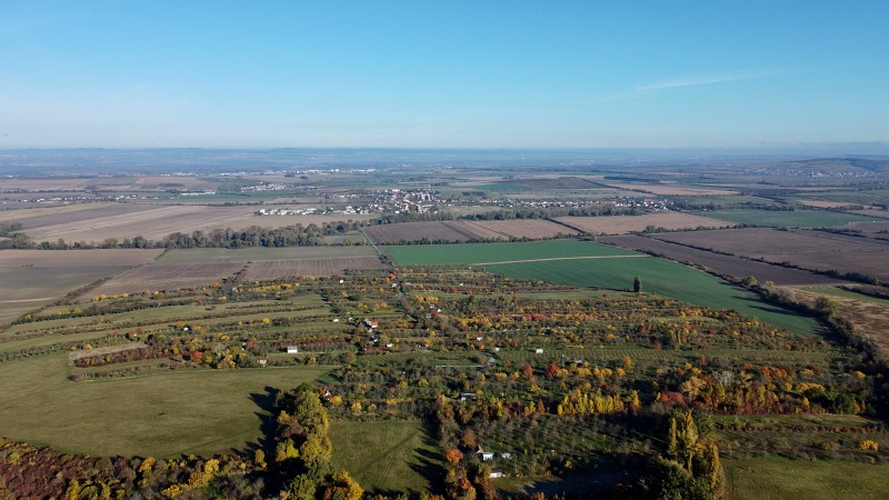 sady nad Hroznovou Lhotou